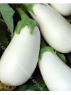 Баклажан снежный (Solanum melongena L.)