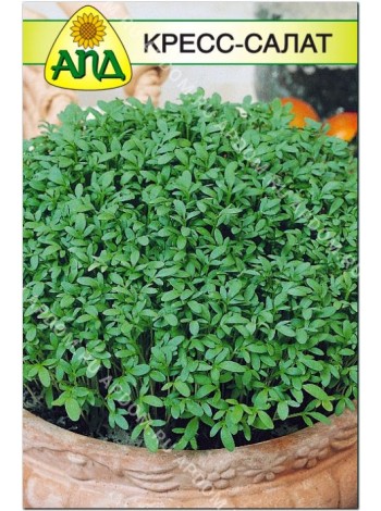 Кресс-салат (Lepidium sativum L.)