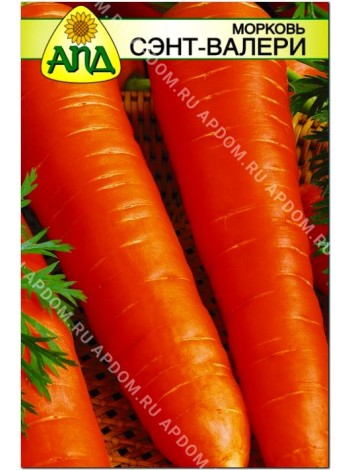 Морковь Сэнт-Валери (Daucus carota L.)